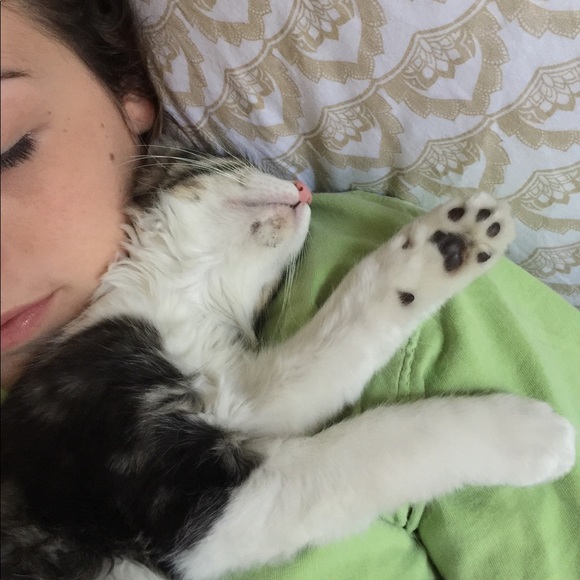 Meet your Posher, Shyanne - Picture 1 of 1